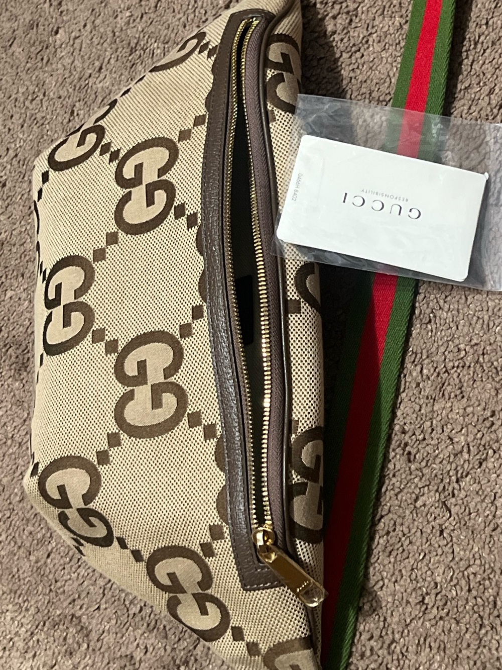 Gucci Green and Red Webbing Belt Bag Strap with Gold Buckle